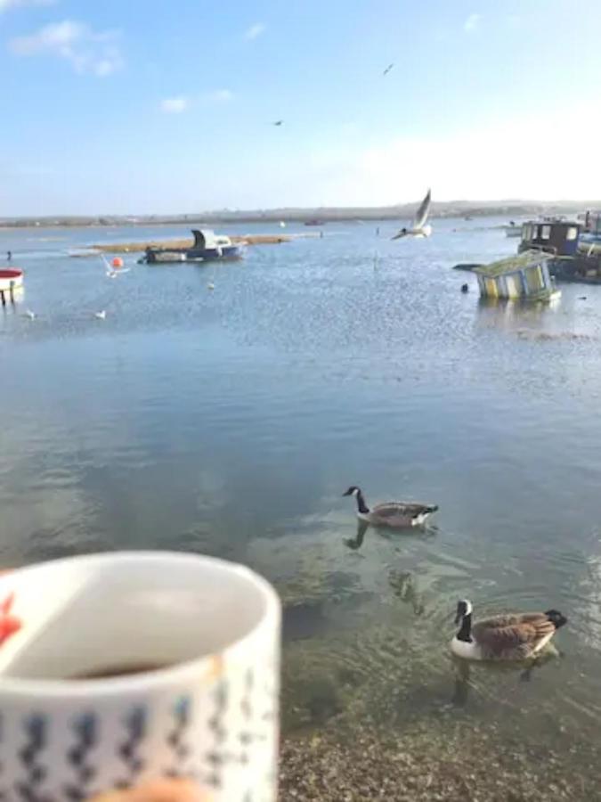 Holes Bay Nature Reserve, Poole, Right Next To The Water 외부 사진